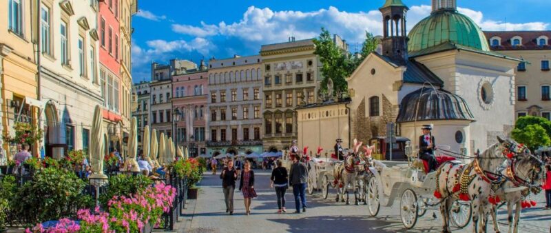 Krakow and Auschwitz Small-Group Tour From Warsaw With Lunch - Inclusions