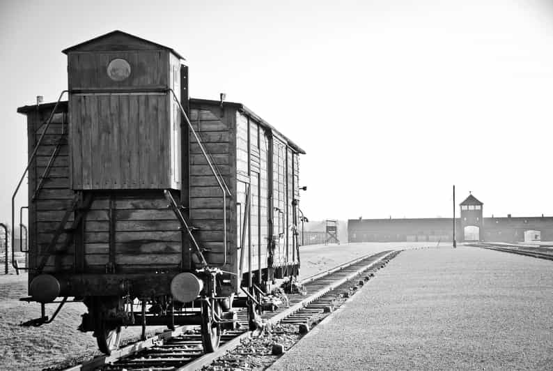 Kraków: Auschwitz-Birkenau and Wieliczka Salt Mine Day Trip - Itinerary and Highlights