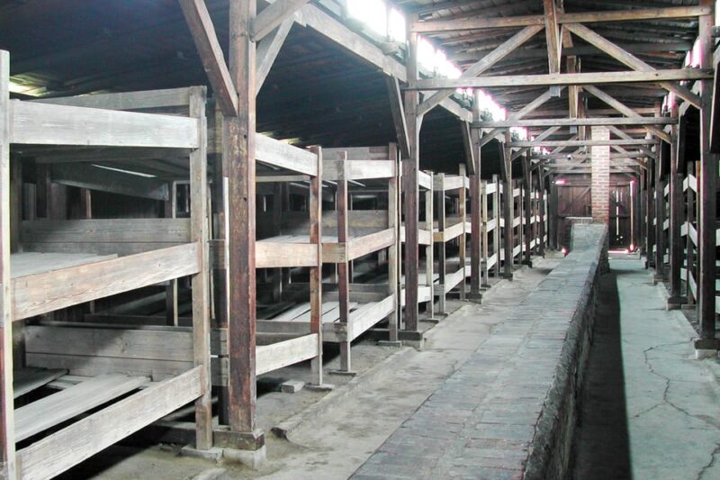 Krakow: Auschwitz-Birkenau Day Trip With Tour Leader - Inclusions and Transportation