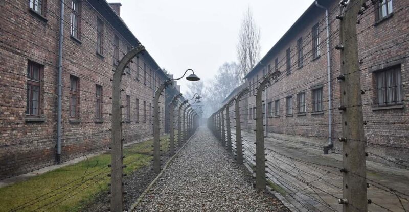 Krakow: Auschwitz-Birkenau Day Trip With Tour Leader - Important Requirements and Information