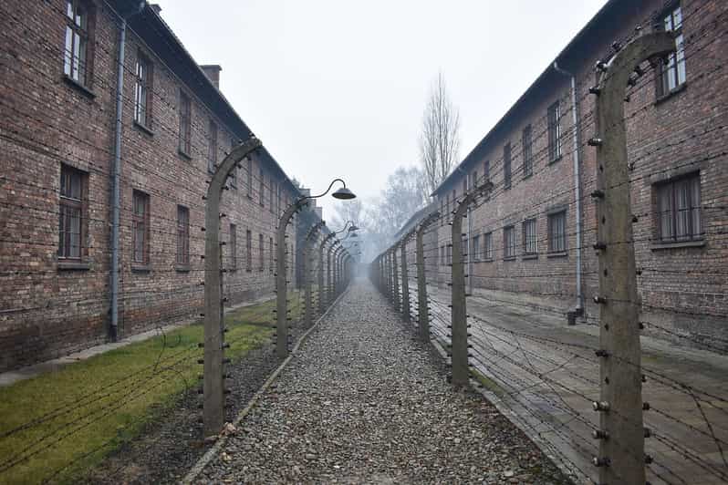 Krakow: Auschwitz-Birkenau Day Trip With Tour Leader - Key Points