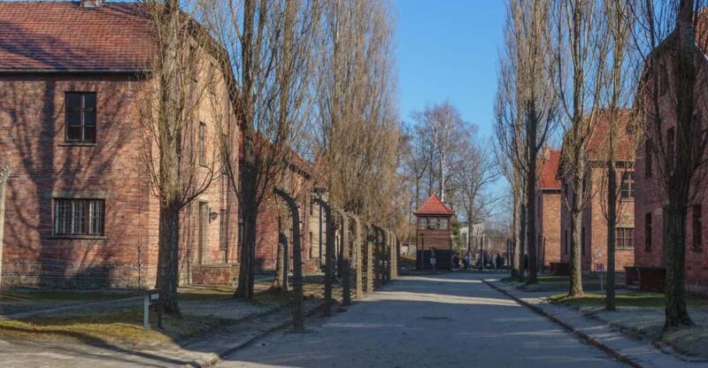 Krakow: Auschwitz-Birkenau Entry Ticket and Transfer - Itinerary Details