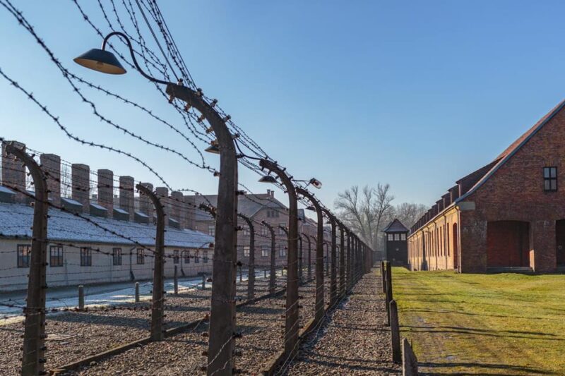 Krakow: Auschwitz-Birkenau Entry Ticket and Transfer - Tour Highlights