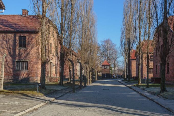 Krakow: Auschwitz-Birkenau Entry Ticket and Transfer - Important Information