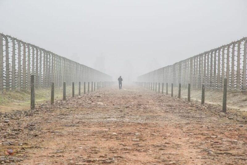 Krakow: Auschwitz-Birkenau Extended Guided Tour & Options - Pricing and Inclusions