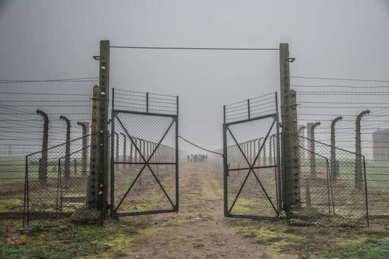Krakow: Auschwitz-Birkenau Extended Guided Tour & Options - Guided Tour and Highlights