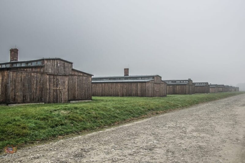 Krakow: Auschwitz-Birkenau Extended Guided Tour & Options - Experience Highlights