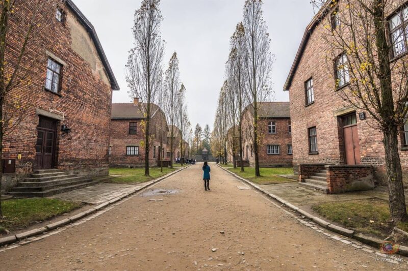 Krakow: Auschwitz-Birkenau Extended Guided Tour & Options - Tour Inclusions and Options