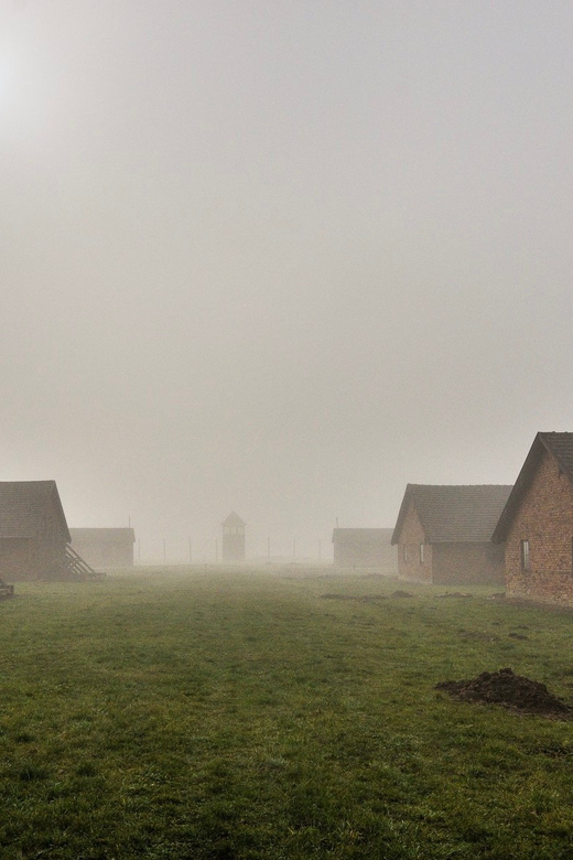 Krakow: Auschwitz-Birkenau Extended Guided Tour & Options - Customer Reviews and Feedback