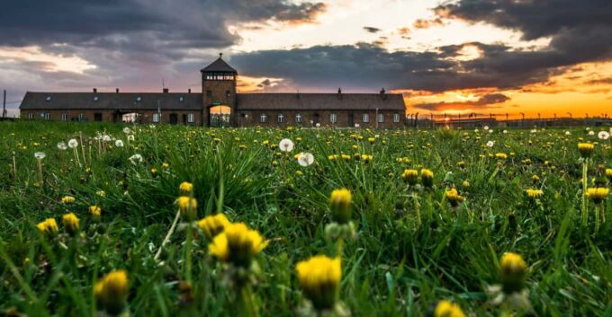 Krakow: Auschwitz-Birkenau Extended Guided Tour & Options - What to Expect on the Tour