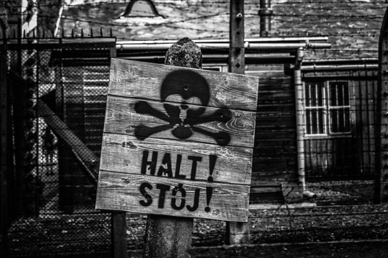 Krakow: Auschwitz-Birkenau Fully Guided Tour & Pickup Option - Customer Reviews and Feedback