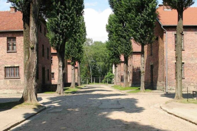 Krakow: Auschwitz-Birkenau Fully Guided Tour & Pickup Option - Accessibility and Luggage Policy