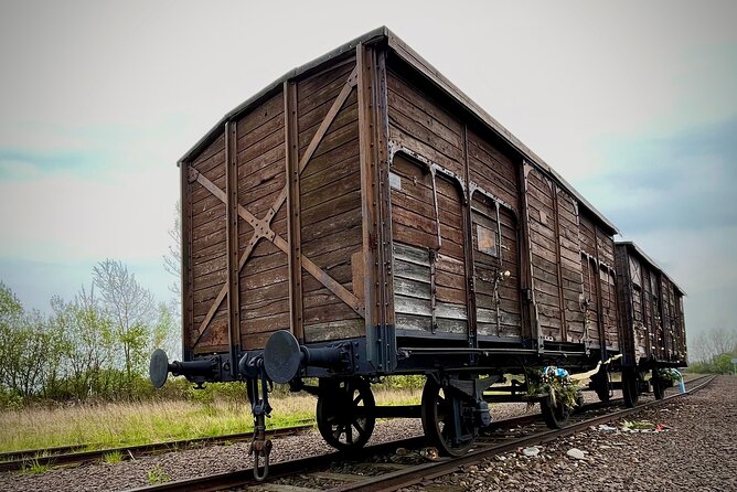 Krakow: Auschwitz - Birkenau Guided Tour With Private Transport - Historical Significance