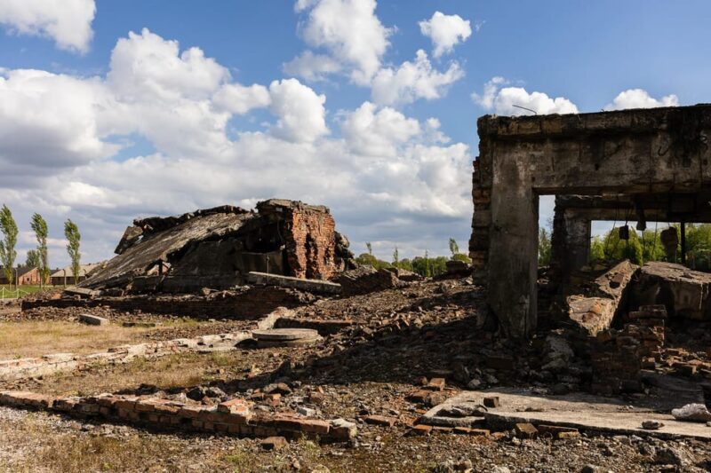 Krakow: Auschwitz-Birkenau Guided Tour With Transfer & Lunch - Itinerary Details