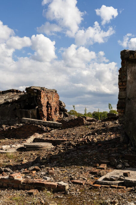 Krakow: Auschwitz-Birkenau Guided Tour With Transfer & Lunch - Frequently Asked Questions