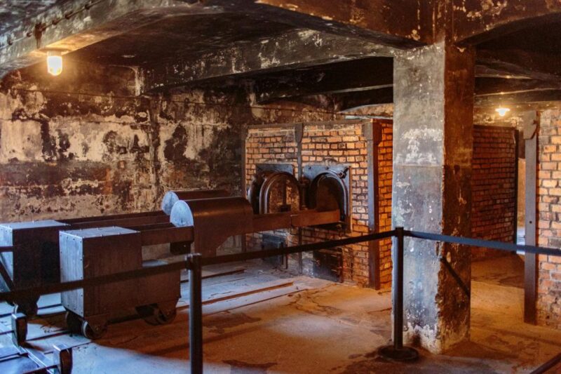 Krakow: Auschwitz Birkenau Last Minute Tour-Next Day Booking - Transportation Options