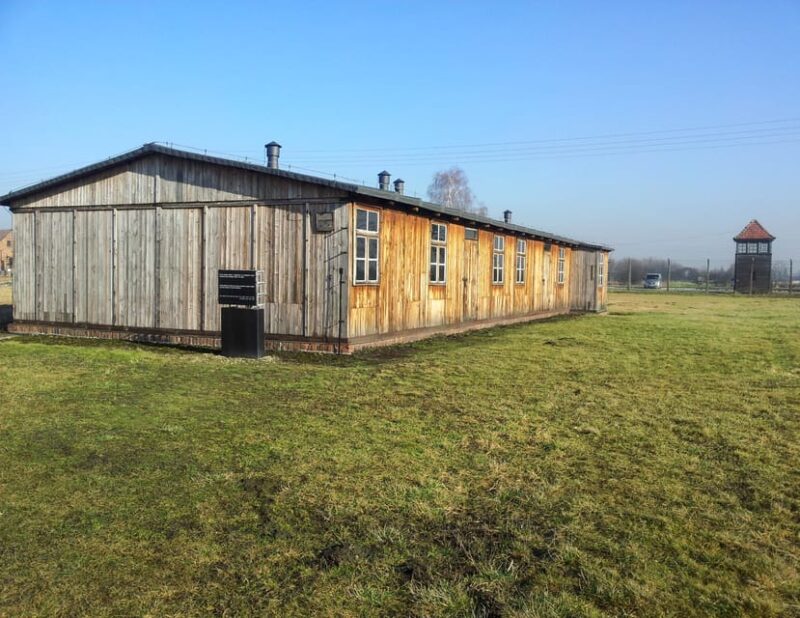 Krakow: Auschwitz-Birkenau Memorial Tour With Optional Lunch - Itinerary and Experience