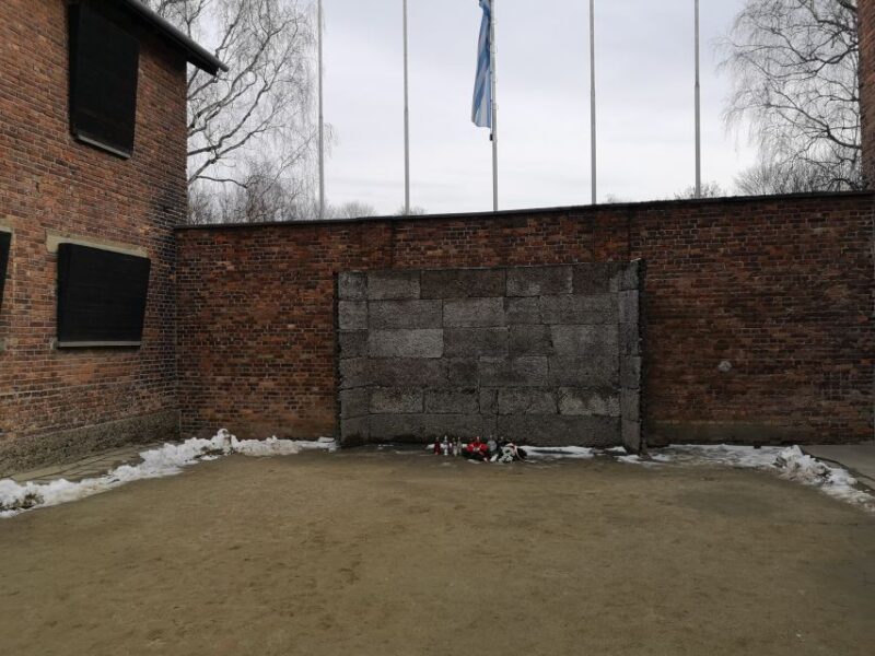 Krakow: Auschwitz-Birkenau Private Chauffeur Service - Key Points