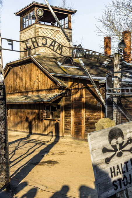 Kraków: Auschwitz-Birkenau Private Tour & Transportation - Tour Requirements