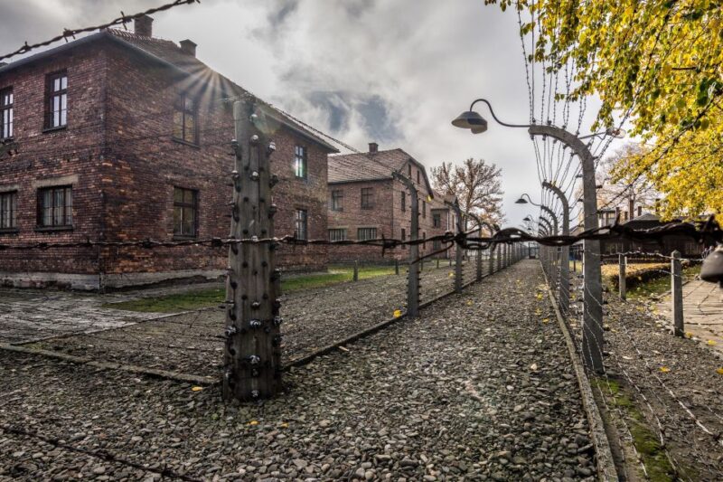 Kraków: Auschwitz-Birkenau & Salt Mine Full-Day Guided Tour - Included Services