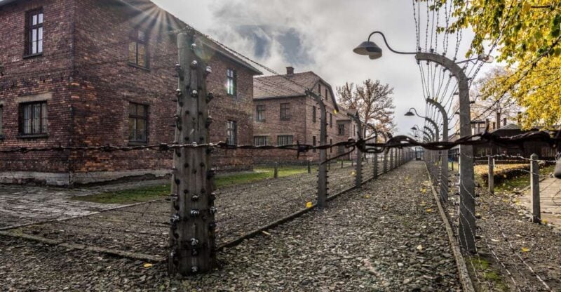 Kraków: Auschwitz-Birkenau & Salt Mine Full-Day Guided Tour - Customer Reviews and Feedback