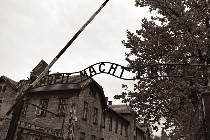 Krakow: Auschwitz-Birkenau & Salt Mine Private Transport & Guide - Visitor Reviews and Feedback