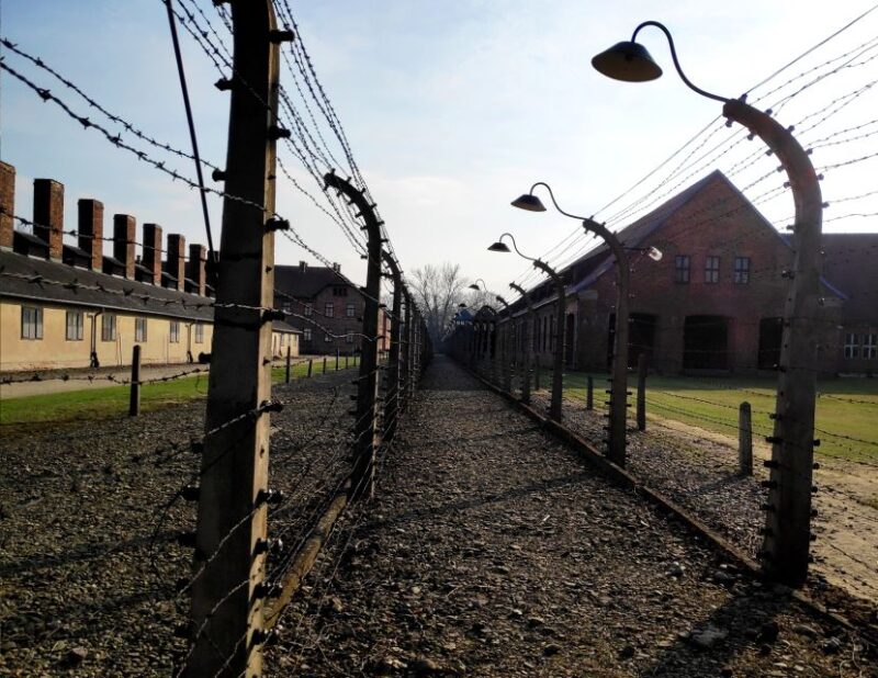 Krakow: Auschwitz-Birkenau & Wieliczka Salt Mine With Lunch - Itinerary and Experience