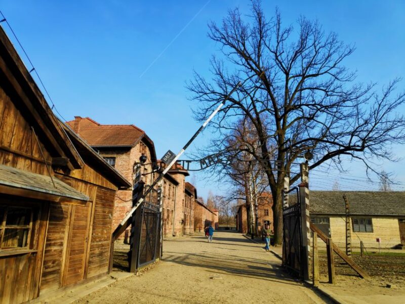 Krakow: Auschwitz-Birkenau & Wieliczka Salt Mine With Lunch - Visitor Requirements and Policies