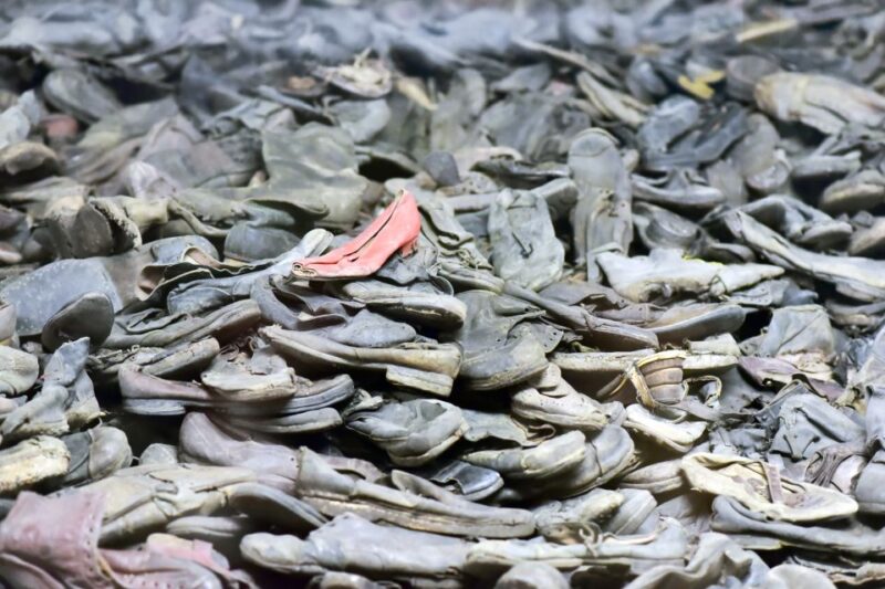 Krakow: Auschwitz Guided Tour With Pickup and Optional Lunch - Experience and Itinerary