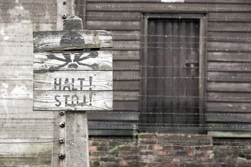 Krakow: Auschwitz & Wieliczka Salt Mine Guided Day Tour - Important Information