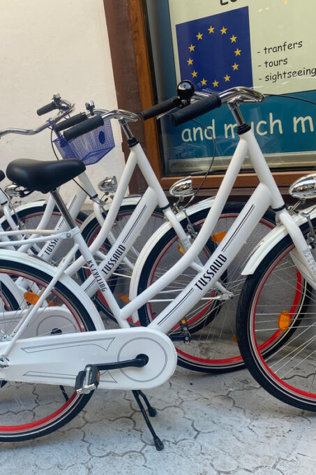 Kraków: Bike Rental - Exploring Kraków by Bike