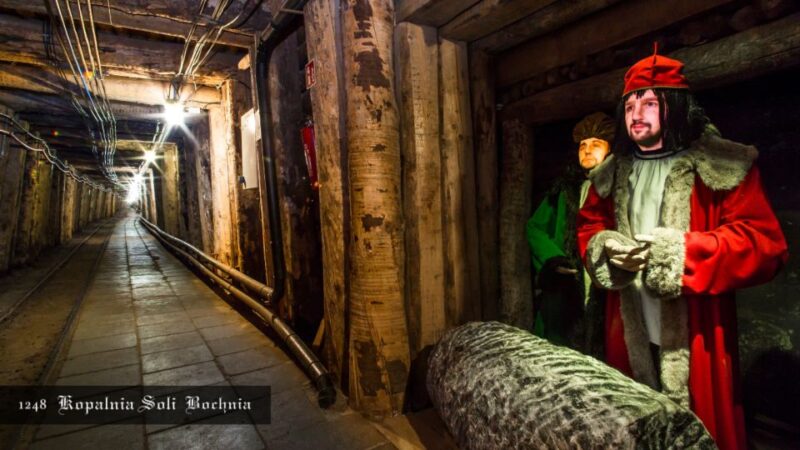 Kraków: Bochnia Royal Salt Mine Private Tour - Historical Significance