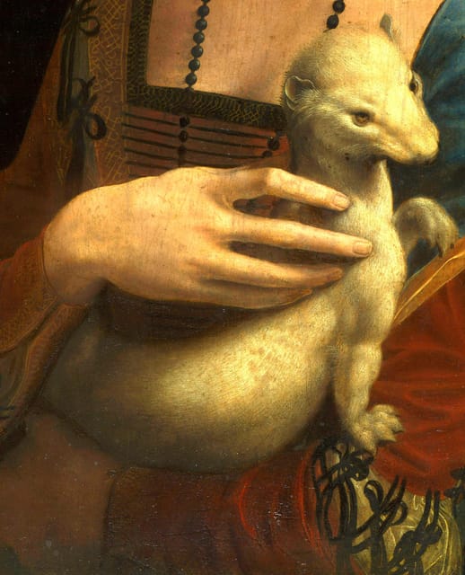Krakow: Czartoryski Museum Guided Tour in English - The Lady With an Ermine