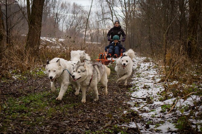 Kraków Full Dog Sled Ride - Frequently Asked Questions