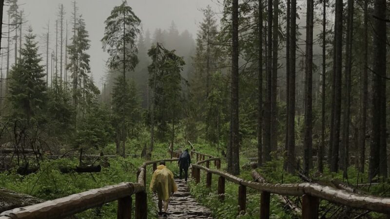 Krakow: Hiking Adventure in Tatra Mountains & Thermal Baths - Pricing and Inclusions