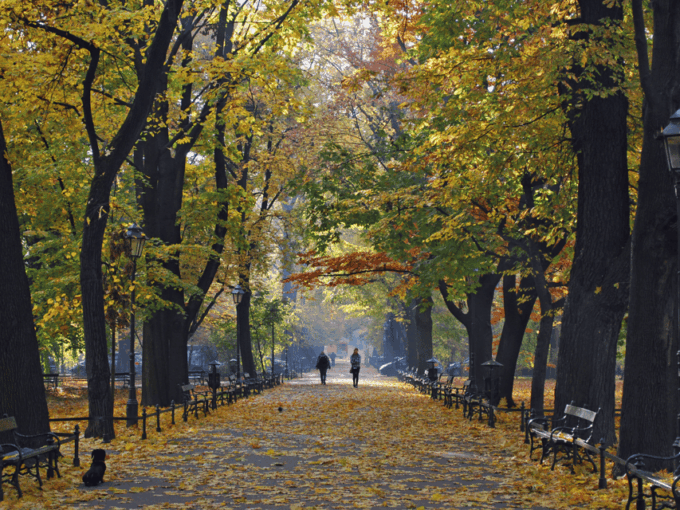 Krakow in a Nutshell: A Self-Guided Audio Walk in English - Kazimierz and Galicia Jewish Museum