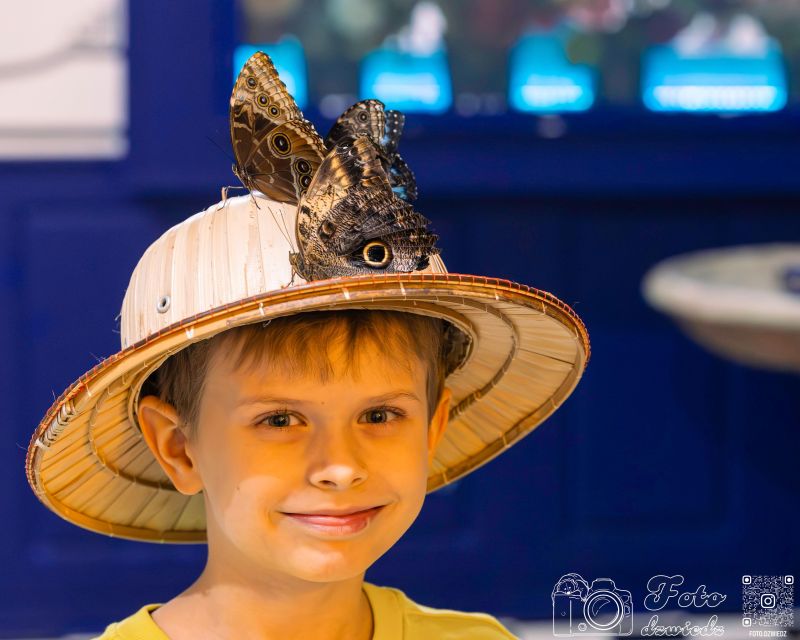Krakow: Living Butterfly Museum - Ticket Details