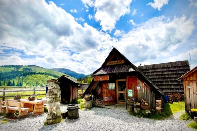 Krakow: Morskie Oko Lake, Zakopane, Hot Baths Private Tour - Included Amenities and Services
