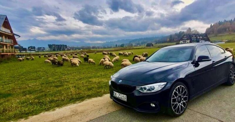 Krakow: Private One-Way Transfer To/From Zakopane - Transfer Experience