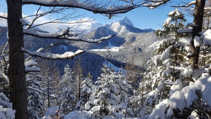 Krakow: Private or Small-Group Zakopane Tour & Thermal Pools - Exploring Zakopane and Thermal Baths