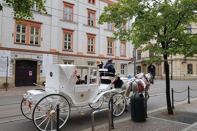 Krakow Private Walking Tour - Highlights of the Tour