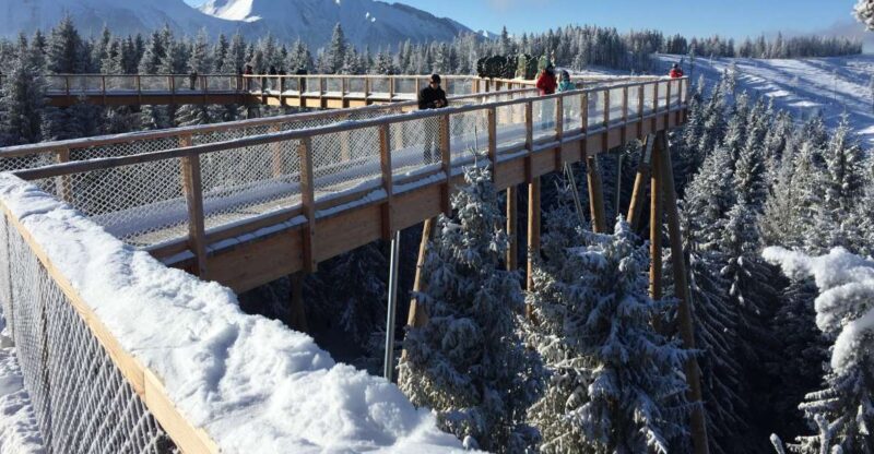 Krakow: Slovakia Treetop Walk & Zakopane With Hot Springs - Key Attractions