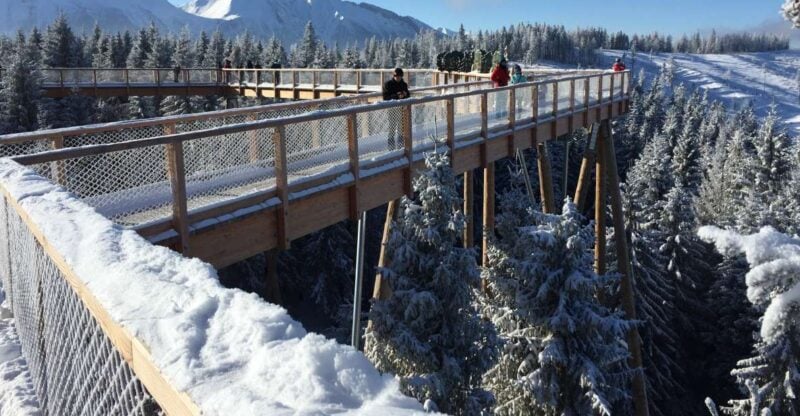 Krakow: Slovakia Treetop Walk & Zakopane With Hot Springs - Inclusions