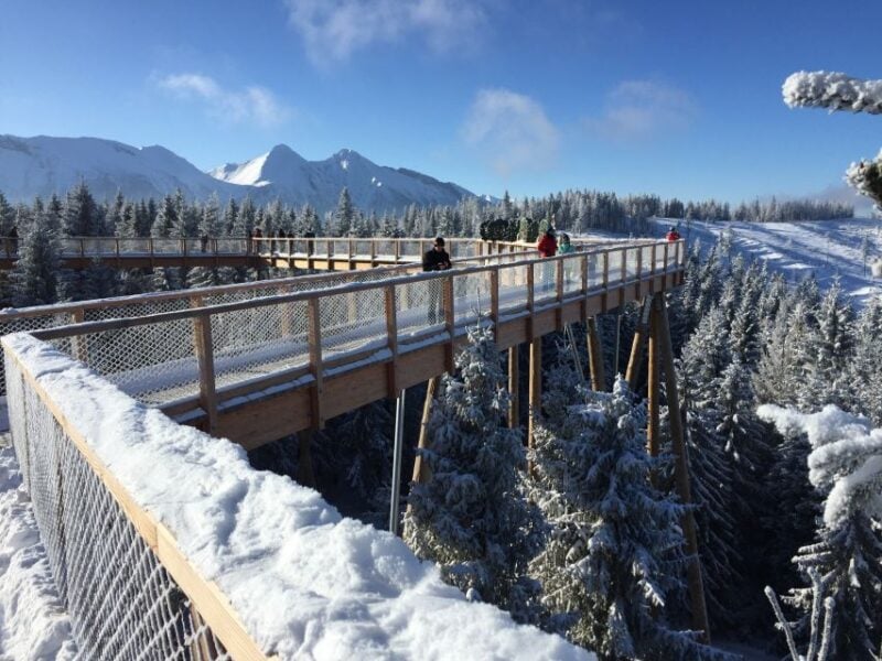 Krakow: Slovakia Treetop Walk & Zakopane With Hot Springs - Treetop Walk in Slovakia