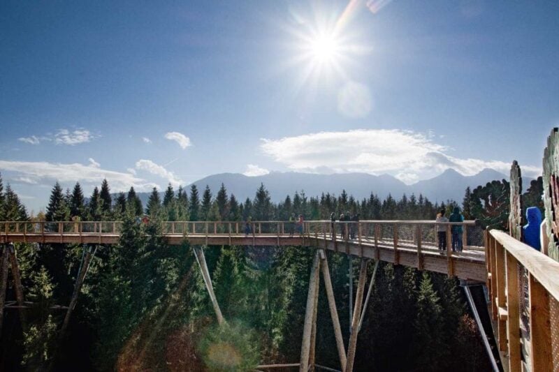 Krakow: Slovakia Treetop Walk & Zakopane With Hot Springs - Relaxing at Thermal Baths