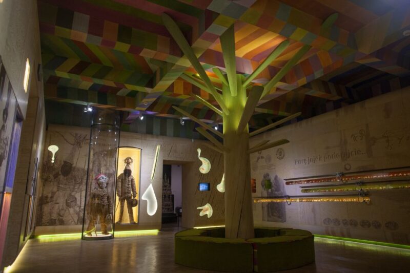 Krakow: the Ethnographic Museum Ticket - Key Points
