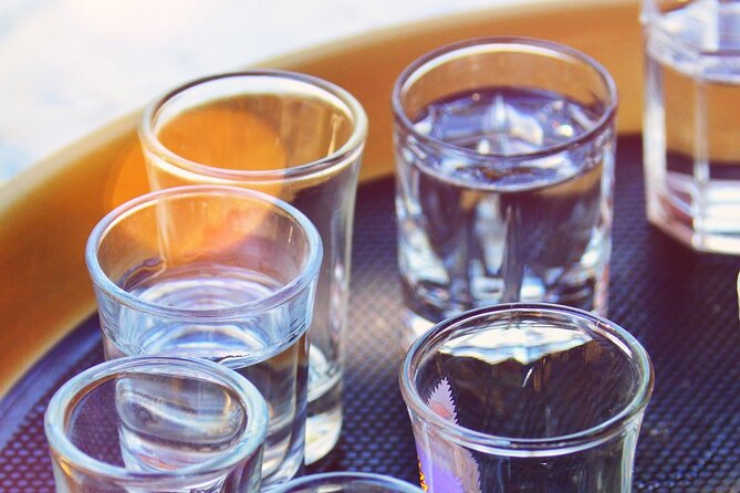 Krakow: Walking Tour With Vodka Testing - Key Points