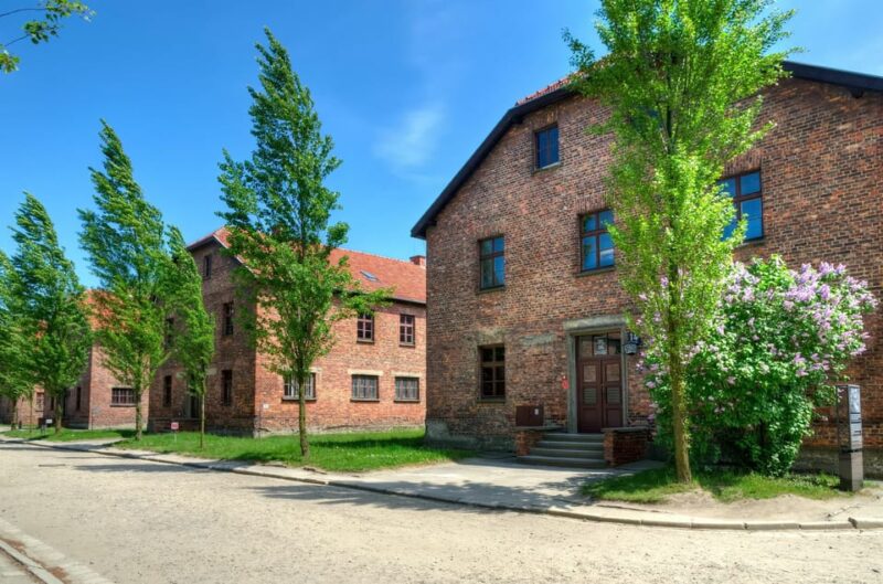 Krakow: Wieliczka Salt Mine and Auschwitz-Birkenau Tour - Itinerary Details