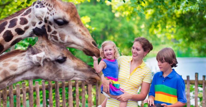 Krakow: Zoo Tour With Private Transport and Tickets - Skip-the-Line Tickets