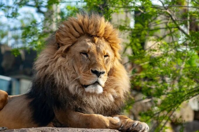 Krakow: Zoo Tour With Private Transport and Tickets - Frequently Asked Questions